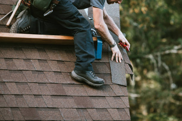 Best Chimney Flashing Repair  in Johnsburg, IL